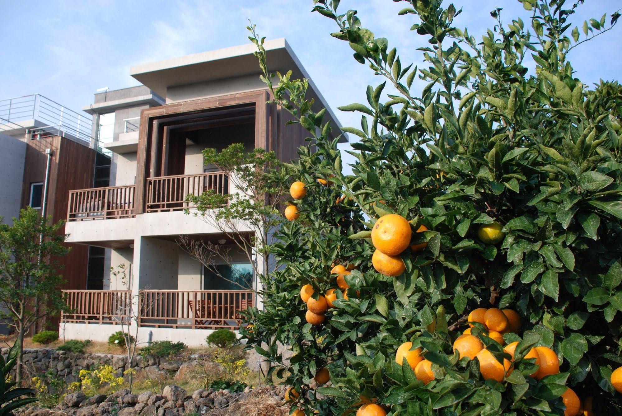 סאוגוויפו Jeju Eco Suites מראה חיצוני תמונה
