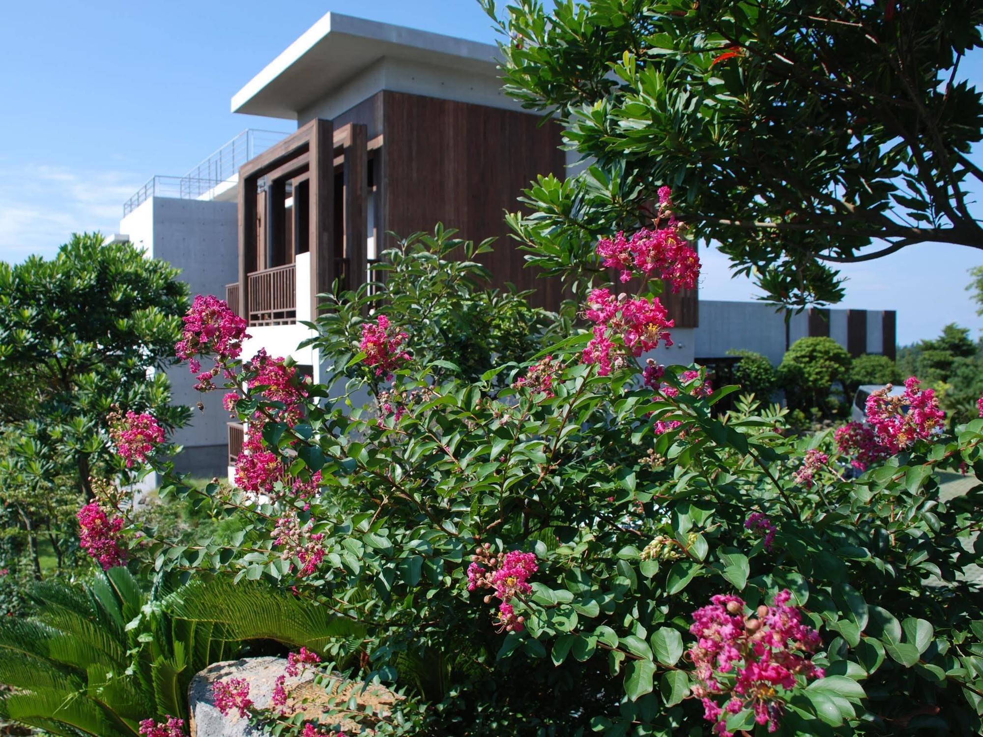 סאוגוויפו Jeju Eco Suites מראה חיצוני תמונה
