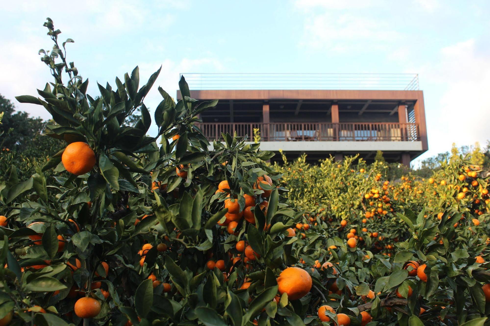 סאוגוויפו Jeju Eco Suites מראה חיצוני תמונה